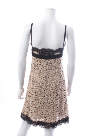 Dolce & Gabbana Lace-Trimmed Floral Crochet Mini Dress