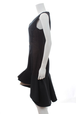 Antonio Berardi Ruffled Modal-Jersey and Lace Dress (Runway Collection)