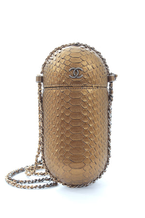 Chanel 2019 Métiers d’Art Python Evening Bag - Limited Edition Collectors Item