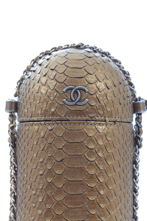 Chanel 2019 Métiers d’Art Python Evening Bag - Limited Edition Collectors Item