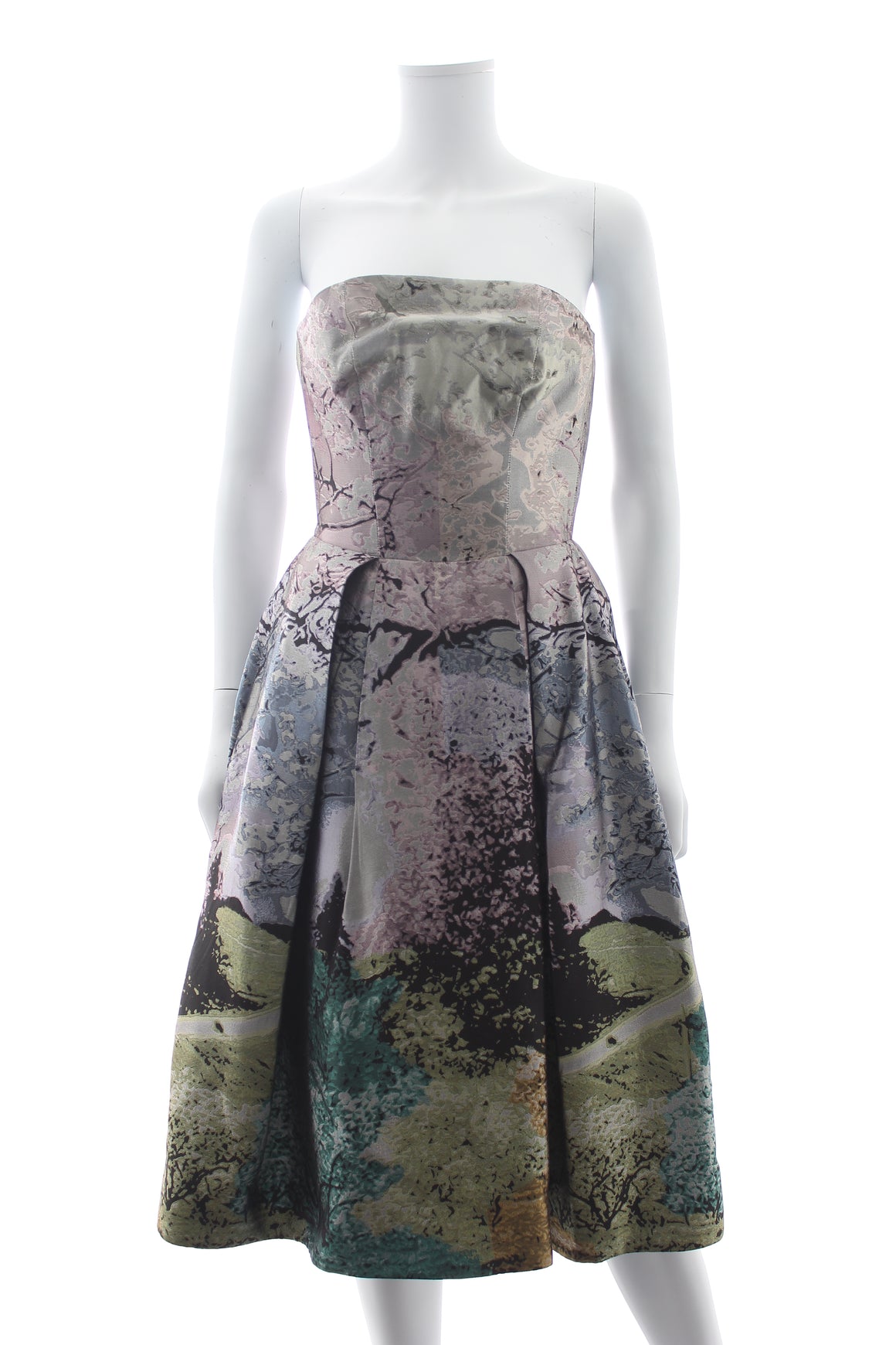Mary Katrantzou Nevis Strapless Silk Midi Dress