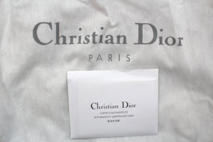 Dior Hardcore Crystal-Chain Satin Bag